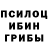 Галлюциногенные грибы ЛСД Andrey Mihailov