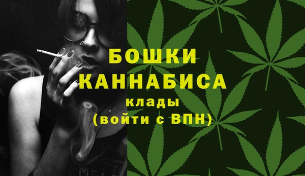 гашик Медногорск