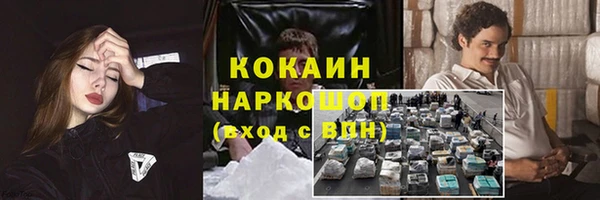 дурь Туринск