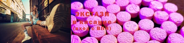 СК Медвежьегорск