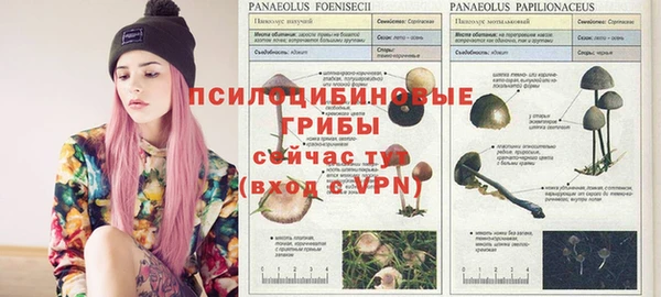 соль ск Мегион