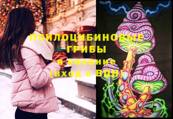 соль ск Мегион