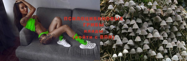 гашик Медногорск