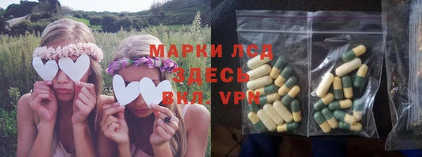 гашик Медногорск