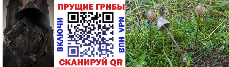 Псилоцибиновые грибы MAGIC MUSHROOMS  Черноголовка 