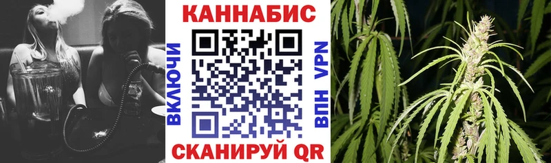 Конопля ГИДРОПОН  Черноголовка 